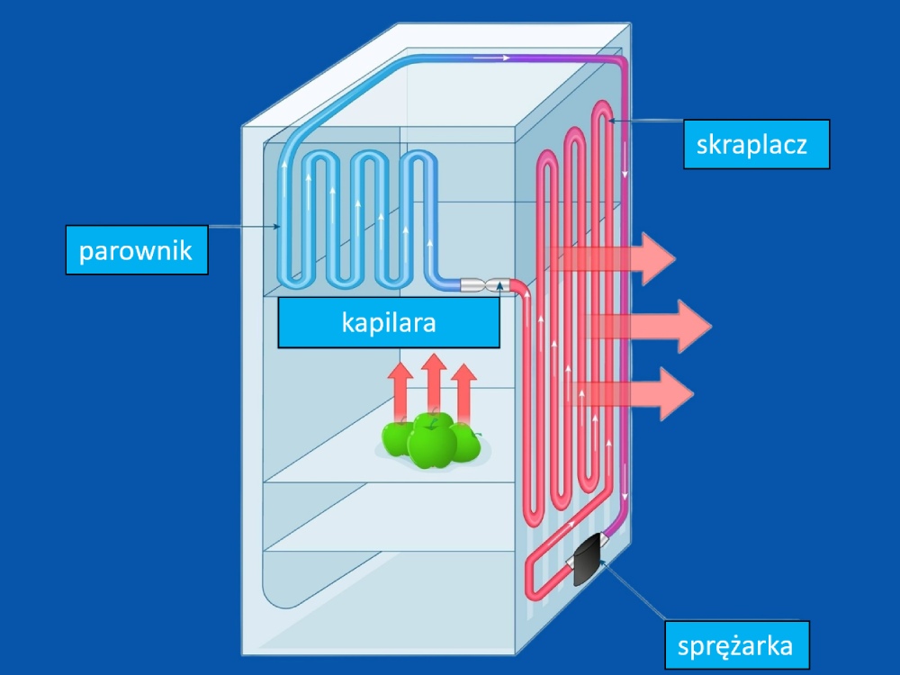 schemat jak działa lodówka