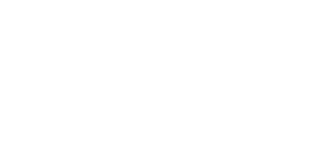 BRAUN