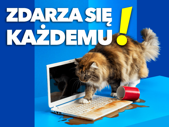 kotek rozlał kawę na laptopa. Zdarza się każdemu!